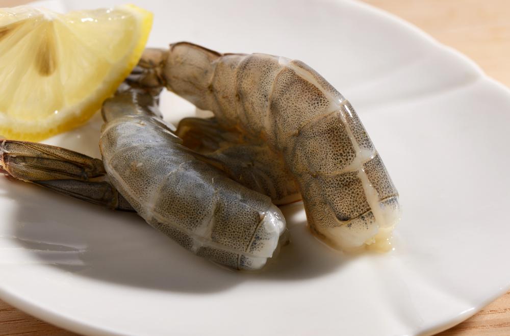 DSC_0217 副本生易开背生虾仁(1).jpg